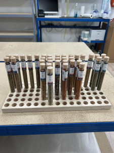 15er Präsentationsdisplay (ohne Inhalt)